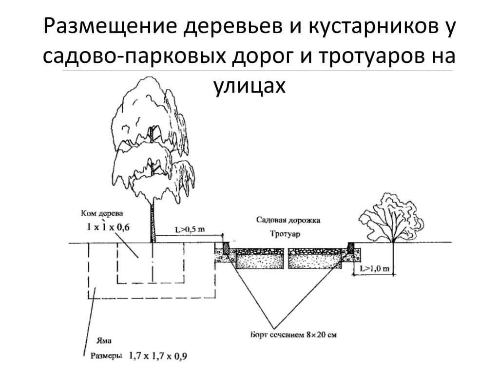 Деревянные дорожки на даче своими руками: пошаговая инструкция с фото