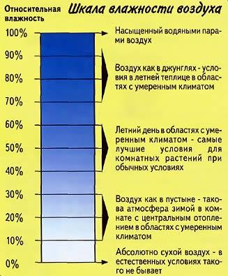 Какая влажность должна быть в квартире: нормы для жилого помещения