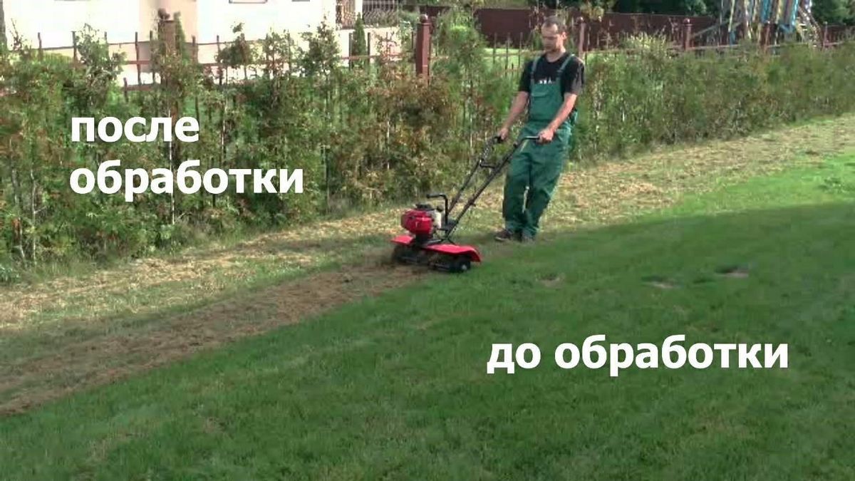 Подготовка газона к зиме: когда последний раз косить газон