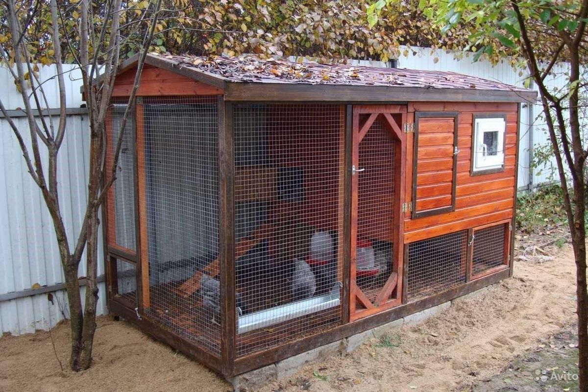 Курятник своими руками на 10 и на 20 кур - чертежи, инструкция
