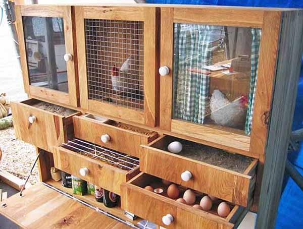 Курятник своими руками на 10 и на 20 кур - чертежи, инструкция