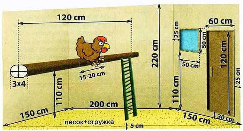 Курятник своими руками на 10 и на 20 кур - чертежи, инструкция