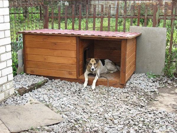 (будка, собаки, своими, руками) Будка для собаки своими руками: чертежи с размерами