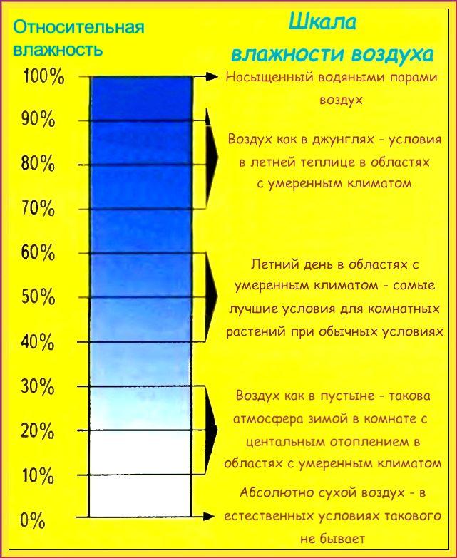 (конденсат, трубах, холодной, воды) Конденсат на трубах холодной воды: причины появления и способы устранения