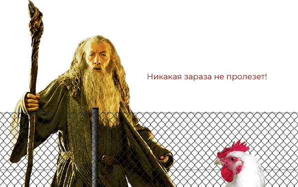 Почему недорогой забор из сетки рабицы лучший вариант?
