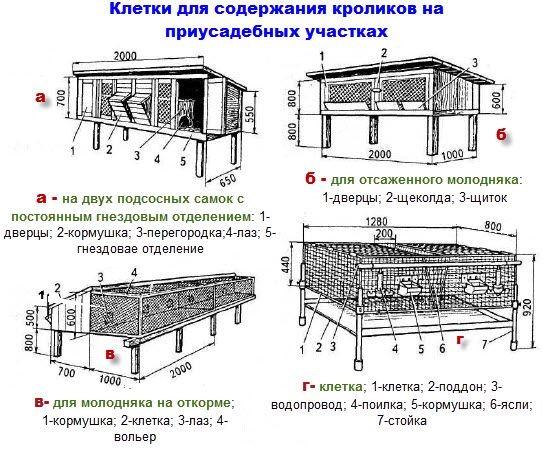 (клетки, кроликов, своими, руками, чертежи) Клетки для кроликов своими руками: чертежи, размеры и пошаговая инструкция