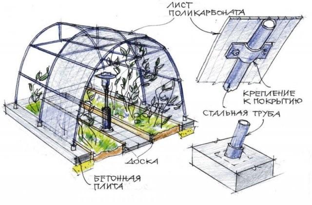 Теплица из поликарбоната своими руками