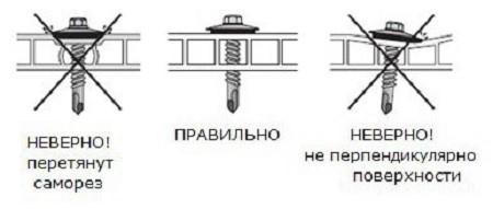 Теплица из поликарбоната своими руками