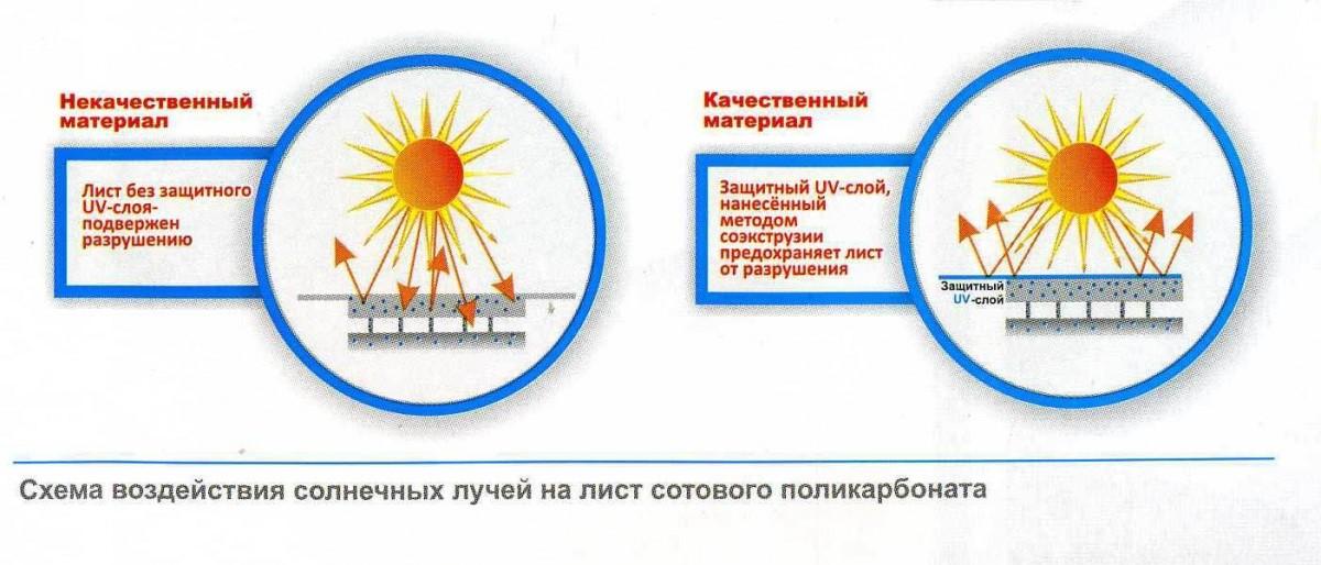 Теплица из поликарбоната своими руками
